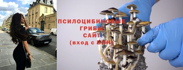 jwh Бородино